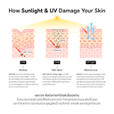 Seamless Shield Light Sunscreen SPF50 PA++++