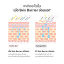 Seamless Moisturizing Cream Complete Restoring Skin Barrier